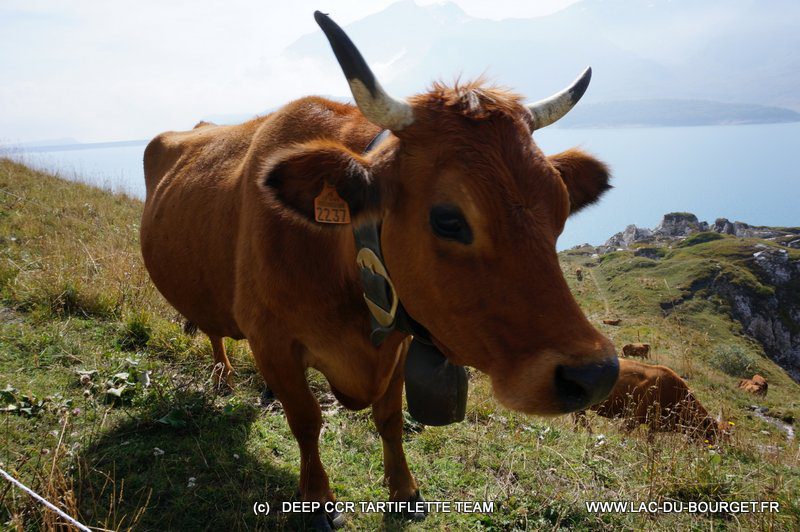 Plongée Lac du Mont Cenis